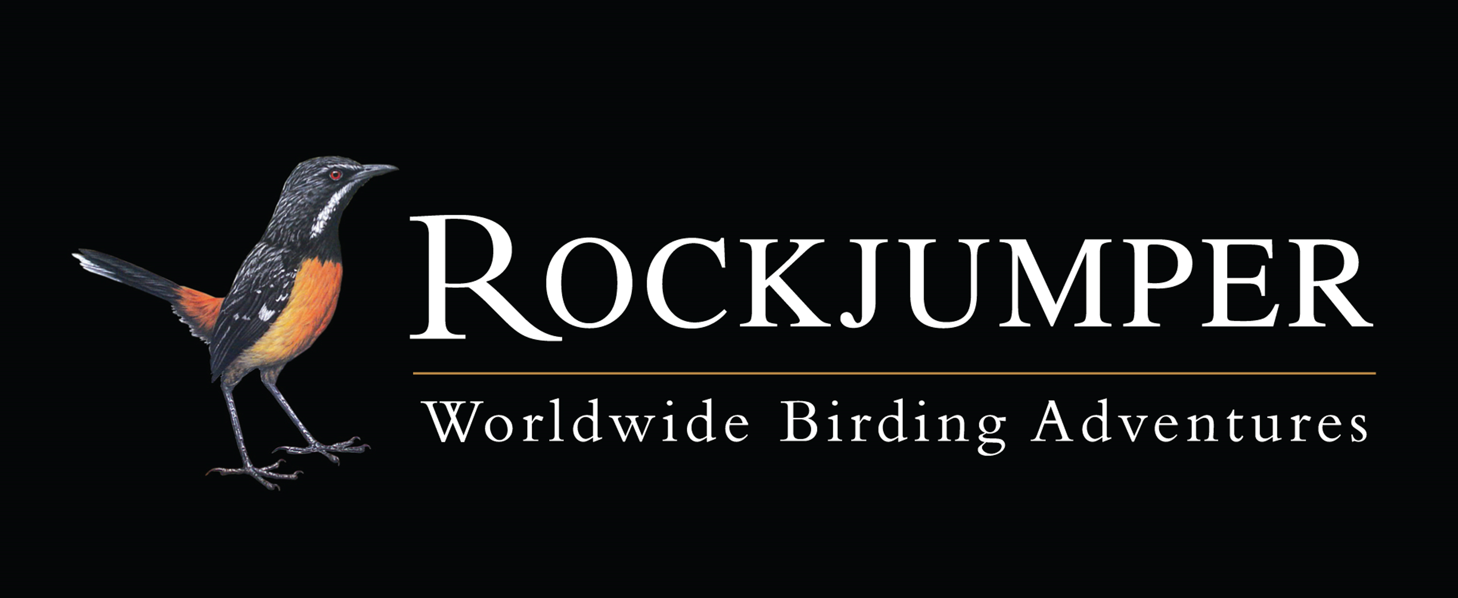 Rockjumber logo 2 Rockjumber logo 2